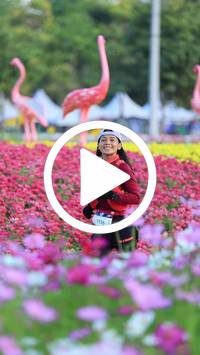 BIB:  <button type="button" onclick="openModal(27583195)" class="btn btn-primary btn-sm float-right" data-toggle="modal" data-target=".modal-high-quality">
                <i class="fa fa-download"></i> Download
                </button>